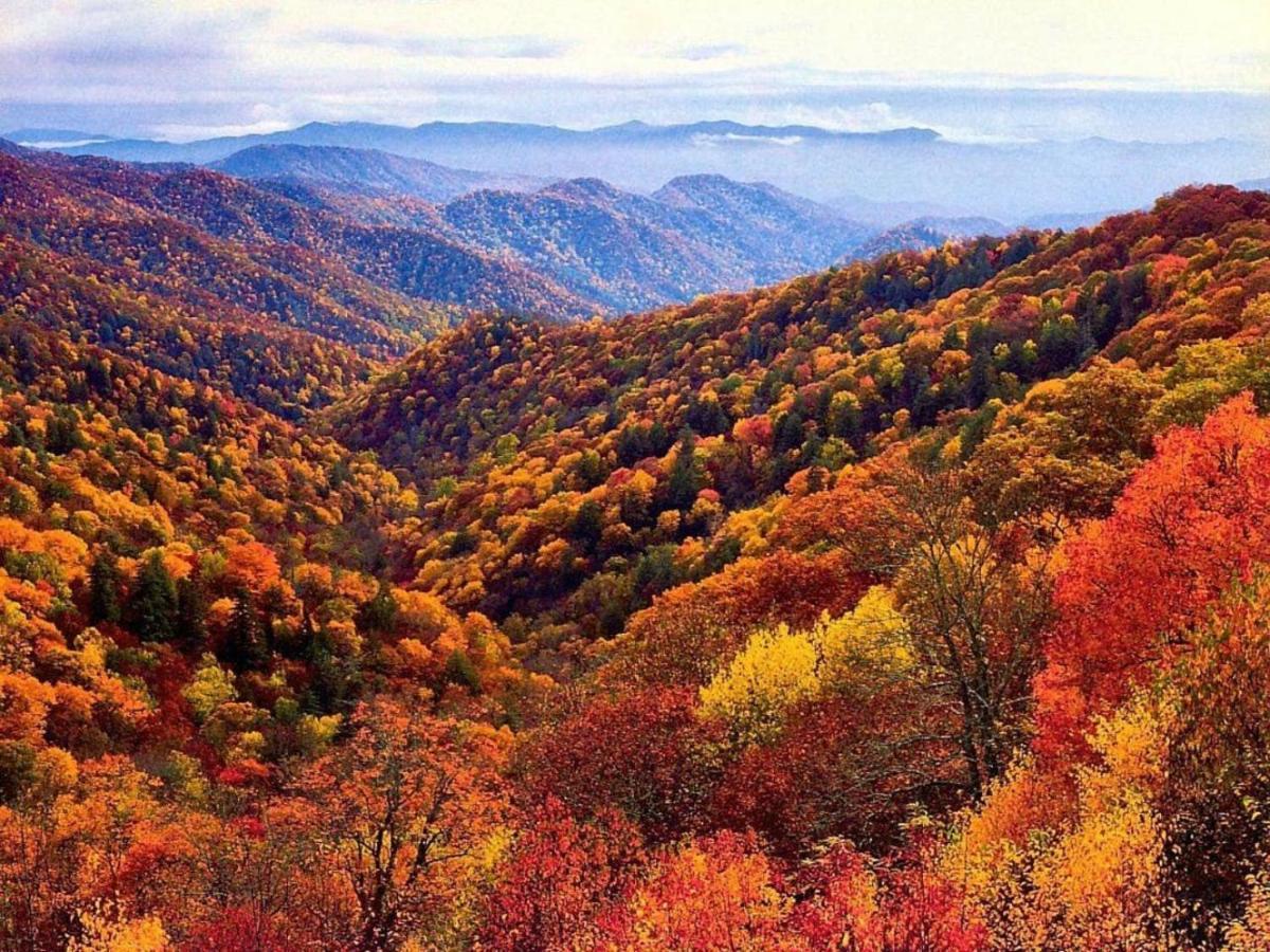 Wow Views!!-Mountain Escape-Outdoor Pool-Close To Downtown-Wifi-Cable-Private Balcony Gatlinburg Buitenkant foto